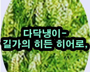  다닥냉이로 호흡기와 소화기 건강 지키는 비법!