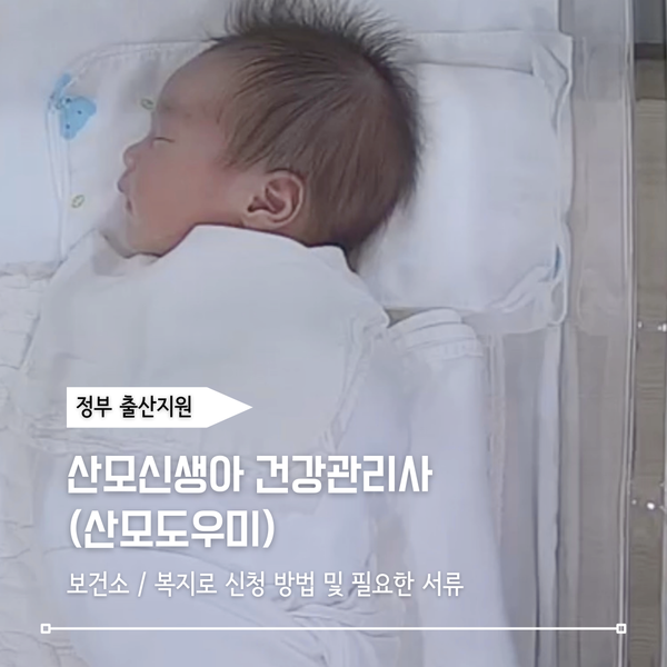 화성시 산후도우미 신청 방법 총정리 (정부지원 조건, 필요서류)