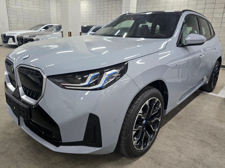  2025 BMW X3(G45) 일산 자유로 신차 검수
