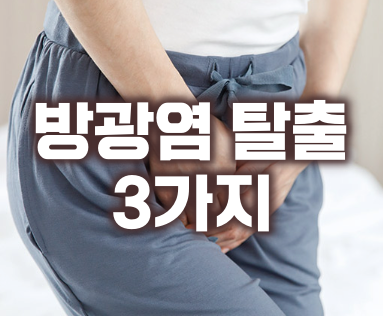  만성 방광염 관리 및 재발 예방 | 잦은 방광염으로 고생하는 분들께 추천하는 3가지 팁