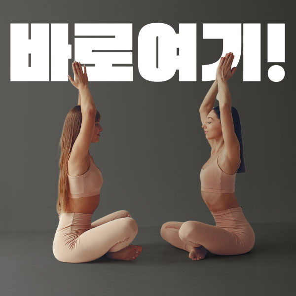  목동 오목교 주말 요가학원 30곳을 다녀 정리한 진짜 실력있는 요가원은 이런 곳입니다. (feat,본질)