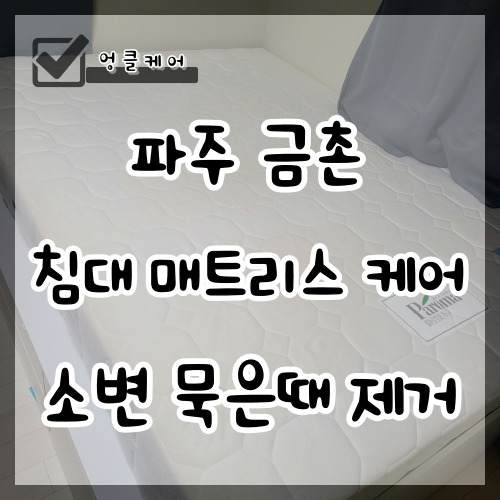  침대 매트리스 케어 생활얼룩 냄새 제거 파주 금촌