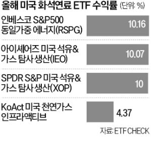 M7보다 짭짤…석유·가스 ETF 올 들어 10% 상승 M7보다 짭짤…석유·가스 ETF 올 들어 10% 상승