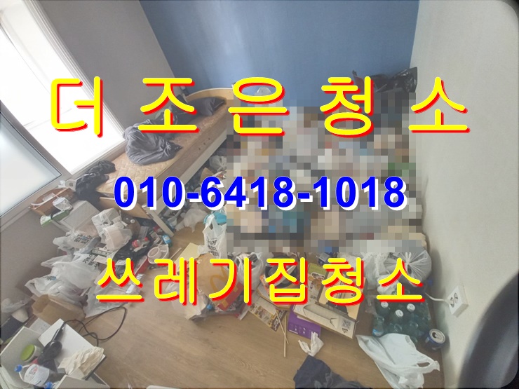 경남 김해 진영 더러운 쓰레기 집 청소는 합리적 비용으로~~