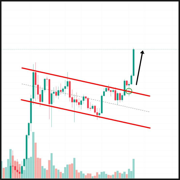 <b>리플 시세</b> 재상승을 예상했던 이유와 전망