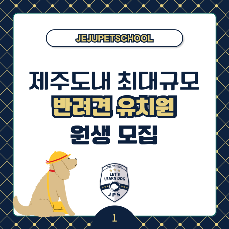 제주펫스쿨 — 서귀포시