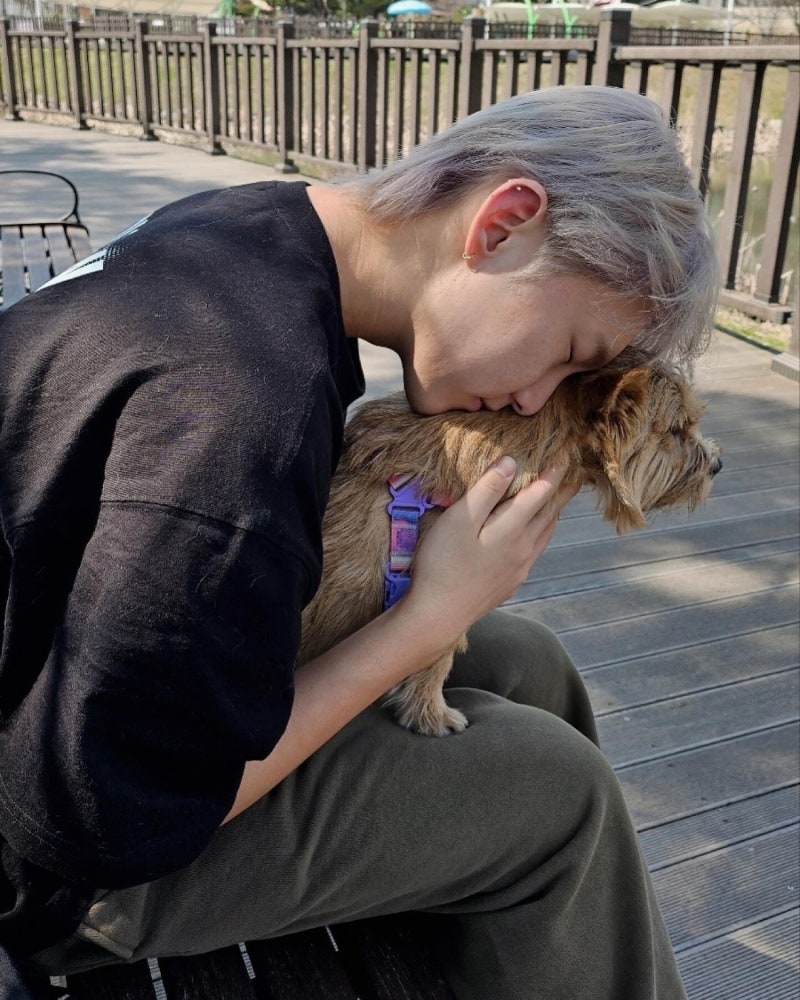 SEVENTEEN Hoshi's Boyfriend Material Photo Collection