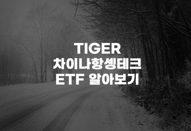  TIGER 차이나항셍테크[371160] ETF 분석 중국 홍콩 주식 주가 알리바바 텐센트 샤오미