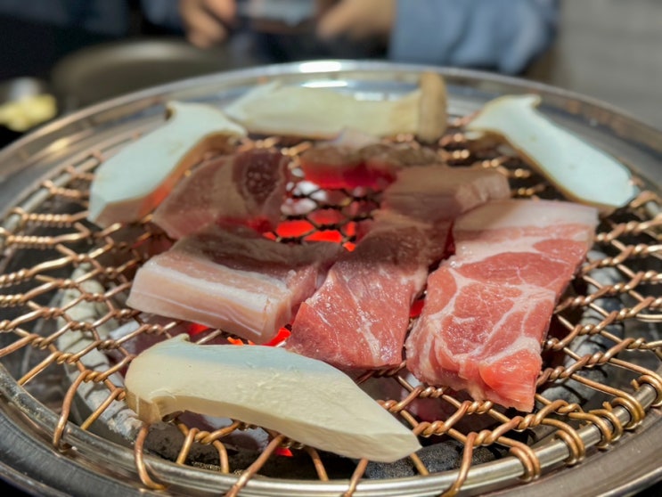  마곡룸회식 마곡 삼겹살 탐라소금구 한우팩토리 마곡점