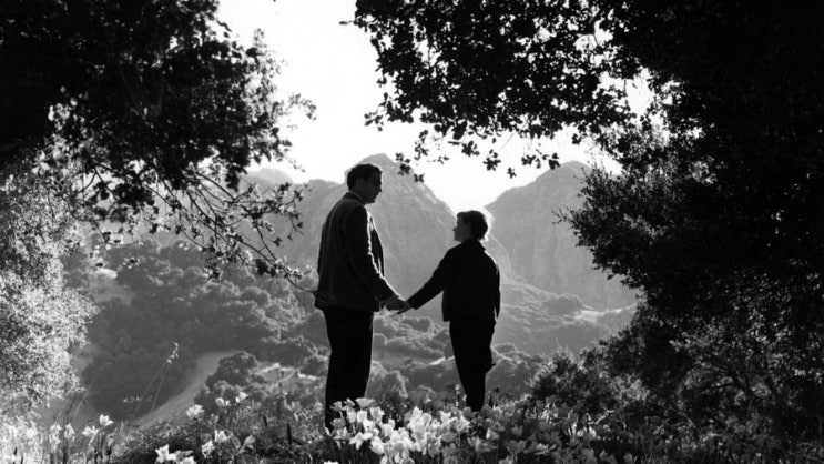  [영화] 나의 계곡은 푸르렀다(How Green was My Valley)