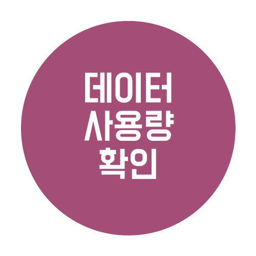  핸드폰 데이터 사용량 확인해보자!