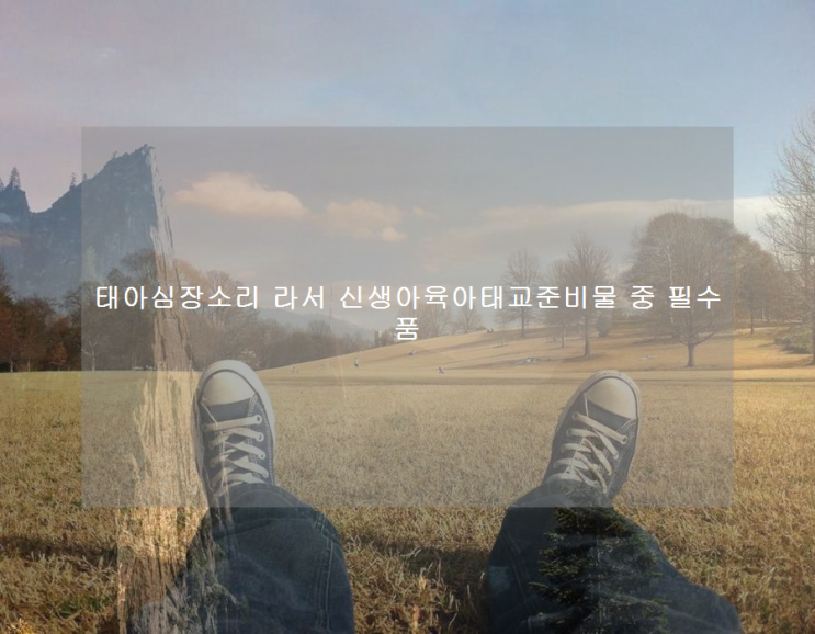  태아심장소리 라서 신생아육아태교준비물 중 필수품