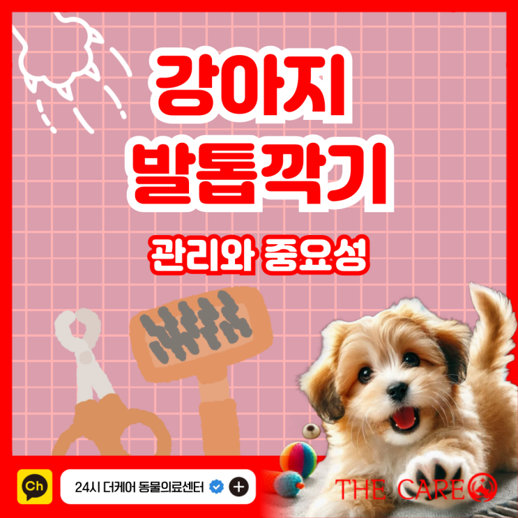  강아지 발톱깎기 관리와 중요성
