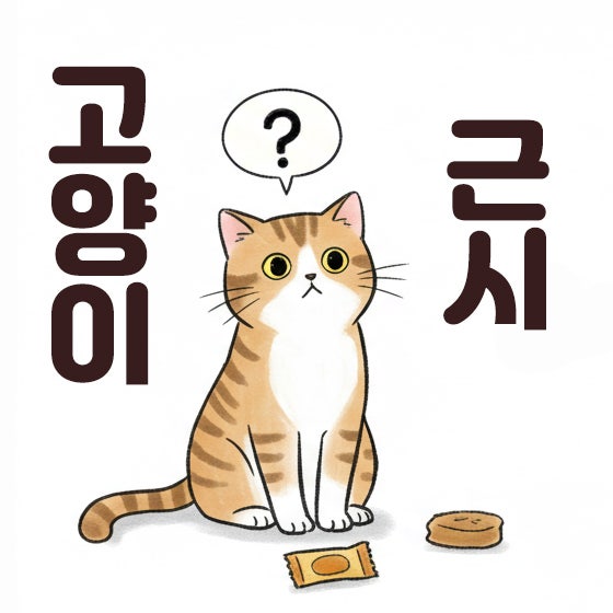  고양이 근시 왜 가까이 있는 간식을 보지못할까?