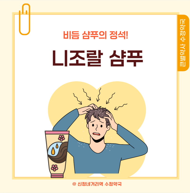 니조랄비듬샴푸 처방 및 사용법