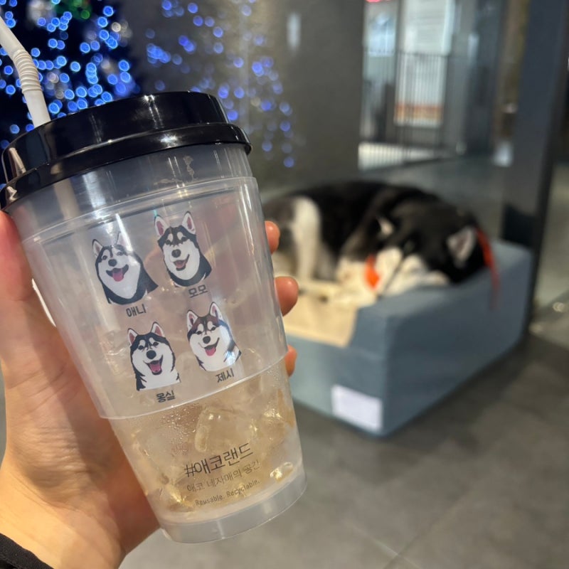 사진 3