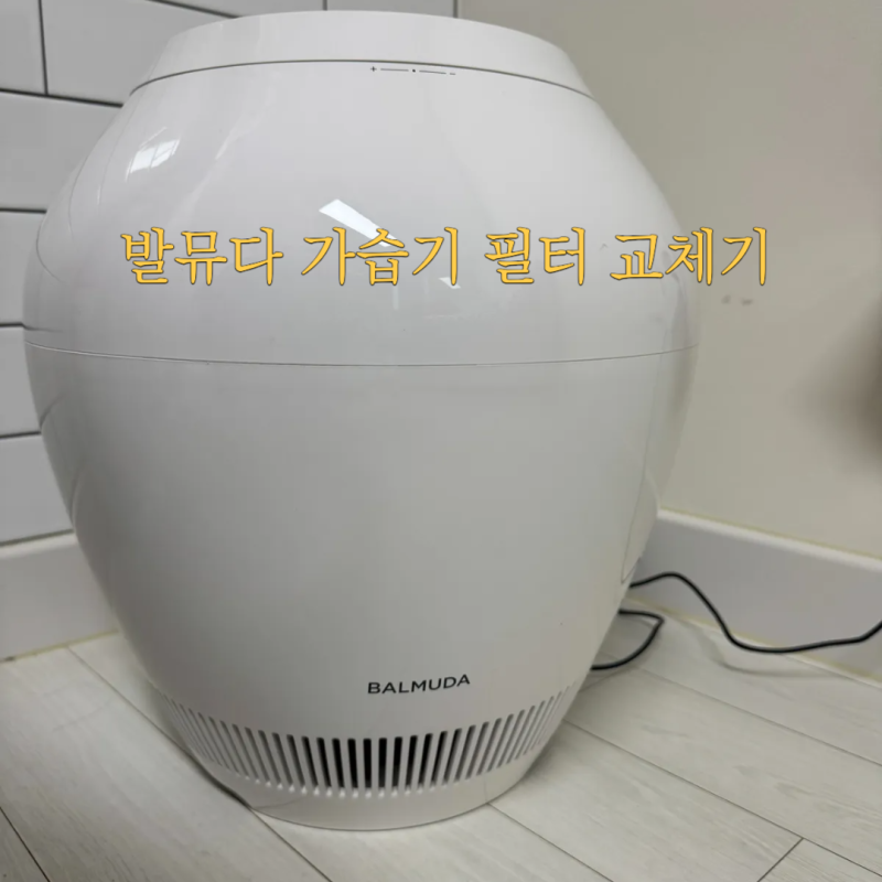 발뮤다 가습기 필터 교체기