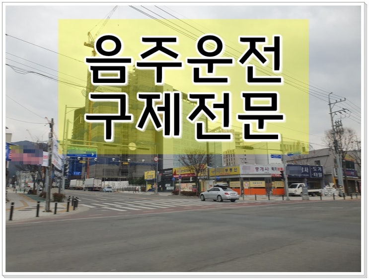  음주운전2회 경찰조사 반성문 탄원서 양형자료