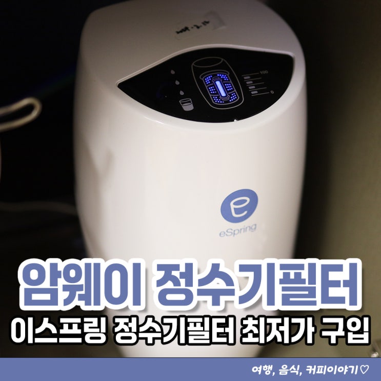  암웨이 이스프링 정수기 필터 최저가 구입하는 방법 내돈내산 후기