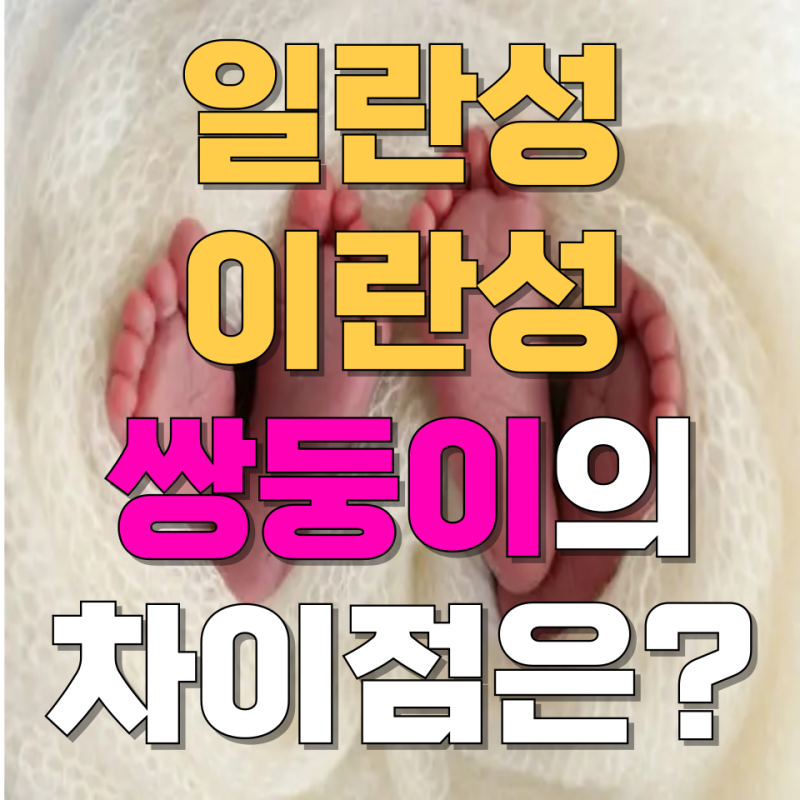 일란성 쌍둥이와 이란성 쌍둥이의 차이점은?