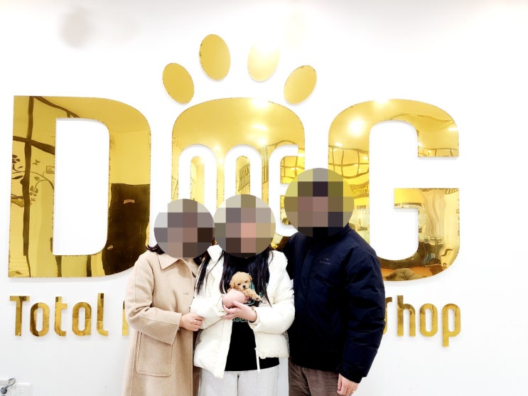  세종시 강아지분양 전문 원독 애견분양 센터 , 말티푸 공주님의 따뜻한 입양 이야기와 반려견의 놀라운 변화 