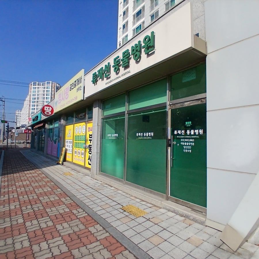 류재선동물병원 사진 1