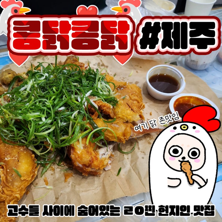 제주도 서귀포 치킨 맛집 콩닭콩닭 올레시장 똥집튀김 술집 내돈내산
