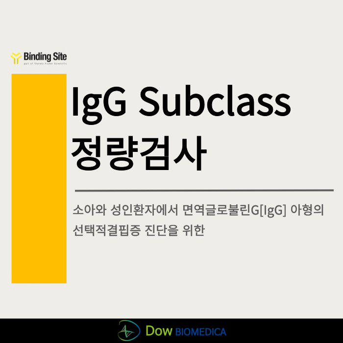  일차면역결핍증(PID) 진단에 꼭 필요한 IgG Subclass 정량검사, 왜 중요할까요?