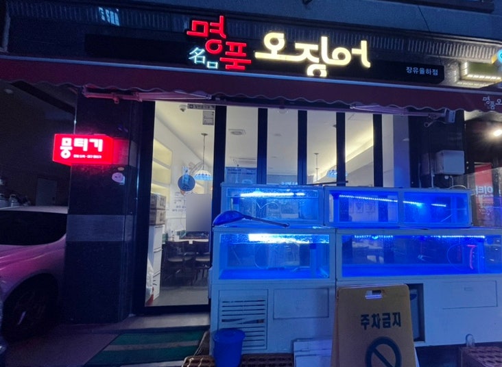  김해 율하 명품오징어 오징어회 맛집 (내돈내산)