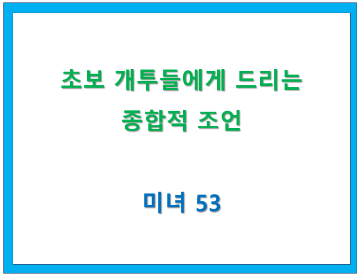  57.  초보 개투들에게 드리는 종합적 조언 [ 미녀53 글 모음 ]