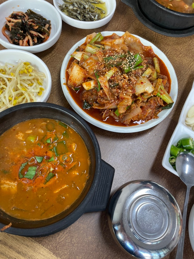  제주 도청 맛집 공항 근처 모심 청국장 내돈내먹