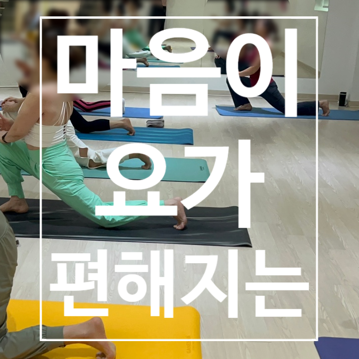  [탄현헬스장] 요가 마음이 편해지는