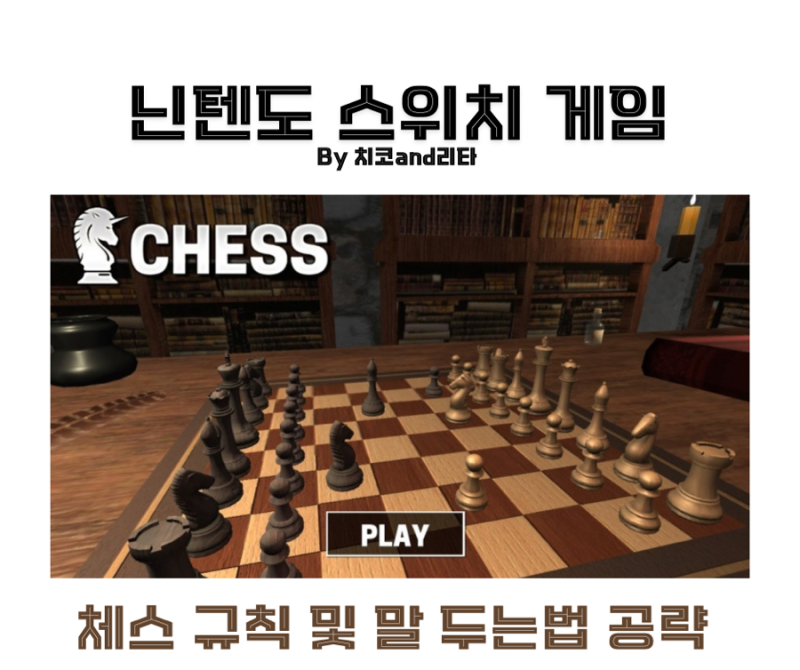 체스 규칙 말 이름 및 두는법 공략