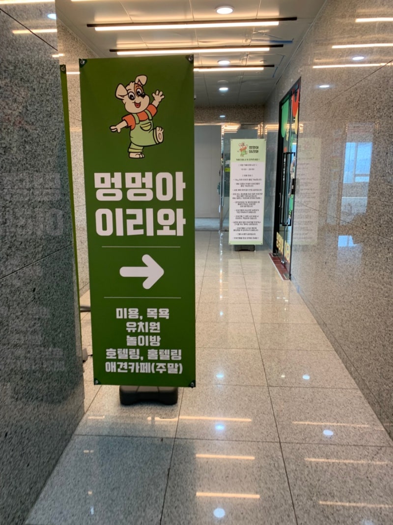 사진 3