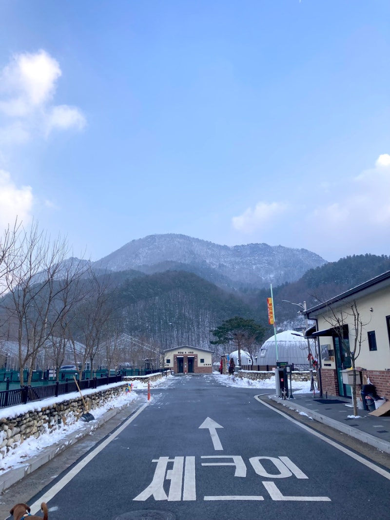 사진 2