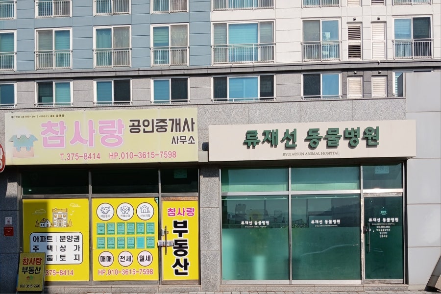 류재선동물병원 사진 5