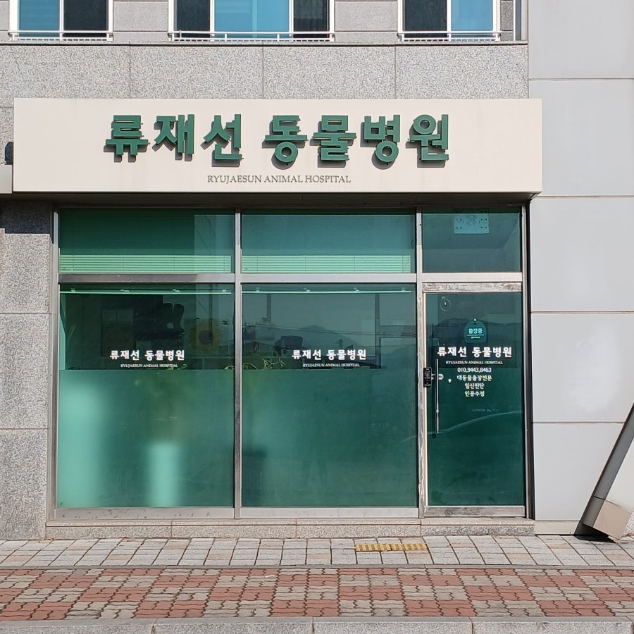 류재선동물병원 사진 4