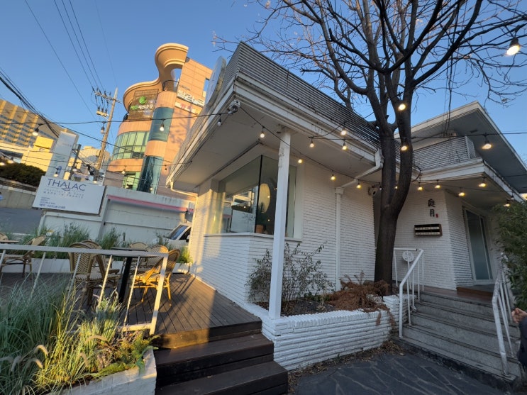  강남 신논현역 조용한 카페 정월 주말 방문 후기 및 정보
