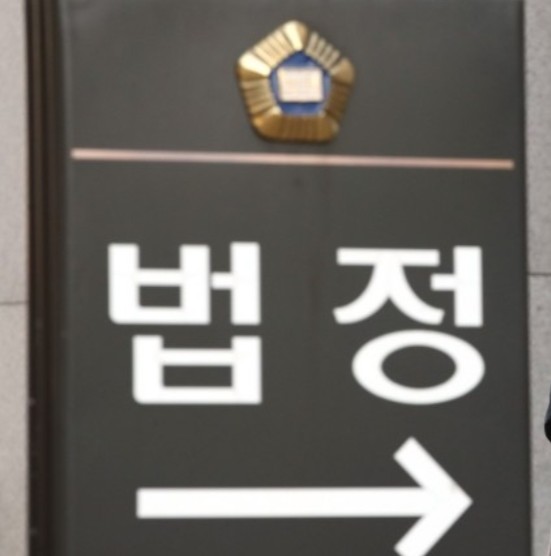 오후 2시에 진행. 서부지법 <b>차은경</b> 부장판사가 심리한다/최석태/