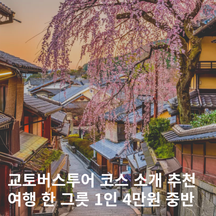  교토 일일 버스투어 여행한그릇 코스 가격 4만원대 오사카 출발