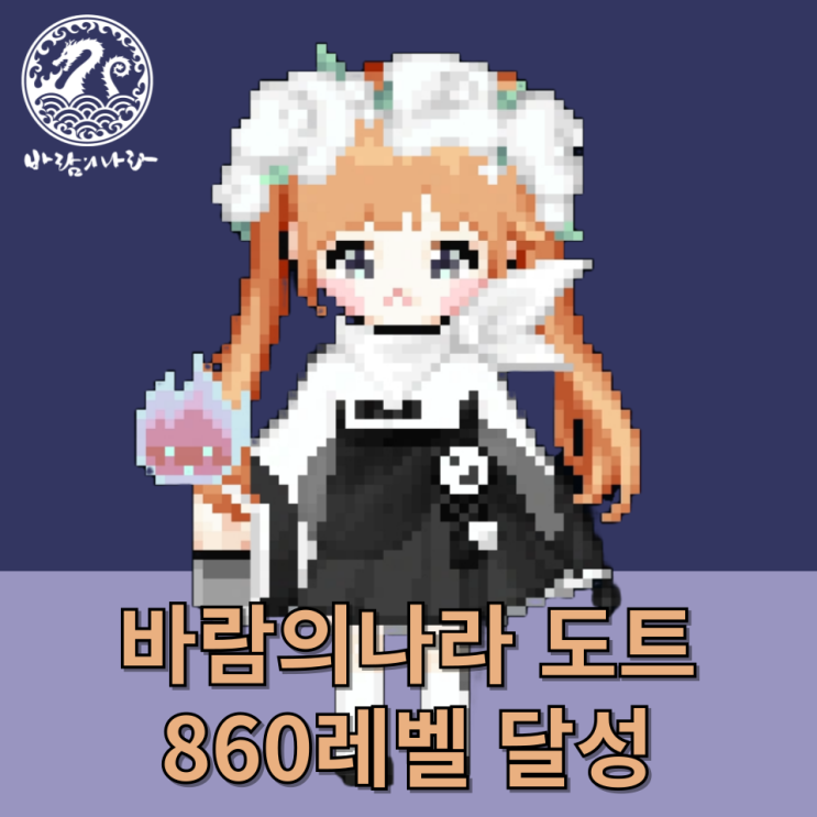 바람의나라 하자서버 도트 860레벨 달성