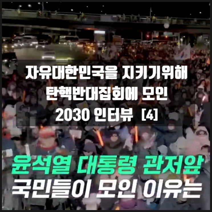 자유대한민국을 지키기위해 탄핵반대집회 모인 2030 인터뷰 4 자유대한민국을 지키기위해 탄핵반대집회 모인 2030 인터뷰 4