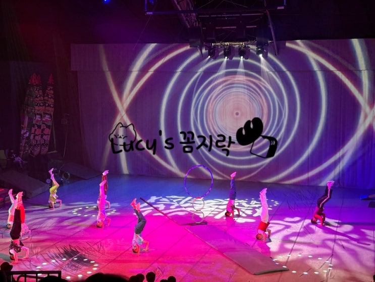  제주도 제주투어 •우리나라 최고의 아트서커스