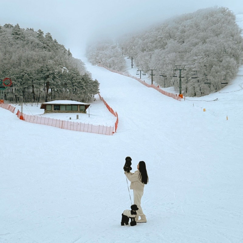 사진 5