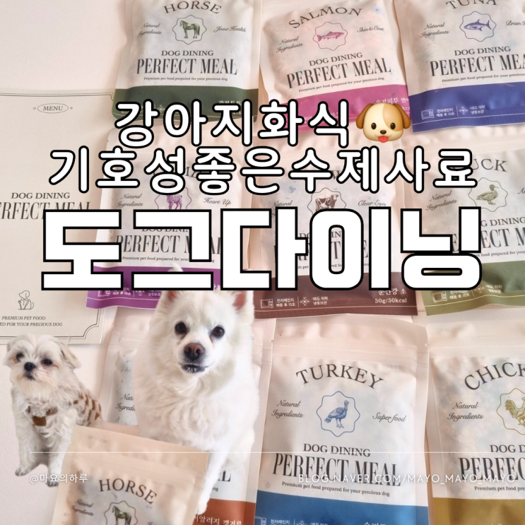  강아지화식 도그다이닝 노령견 습식사료 추천 9종세트 급여후기