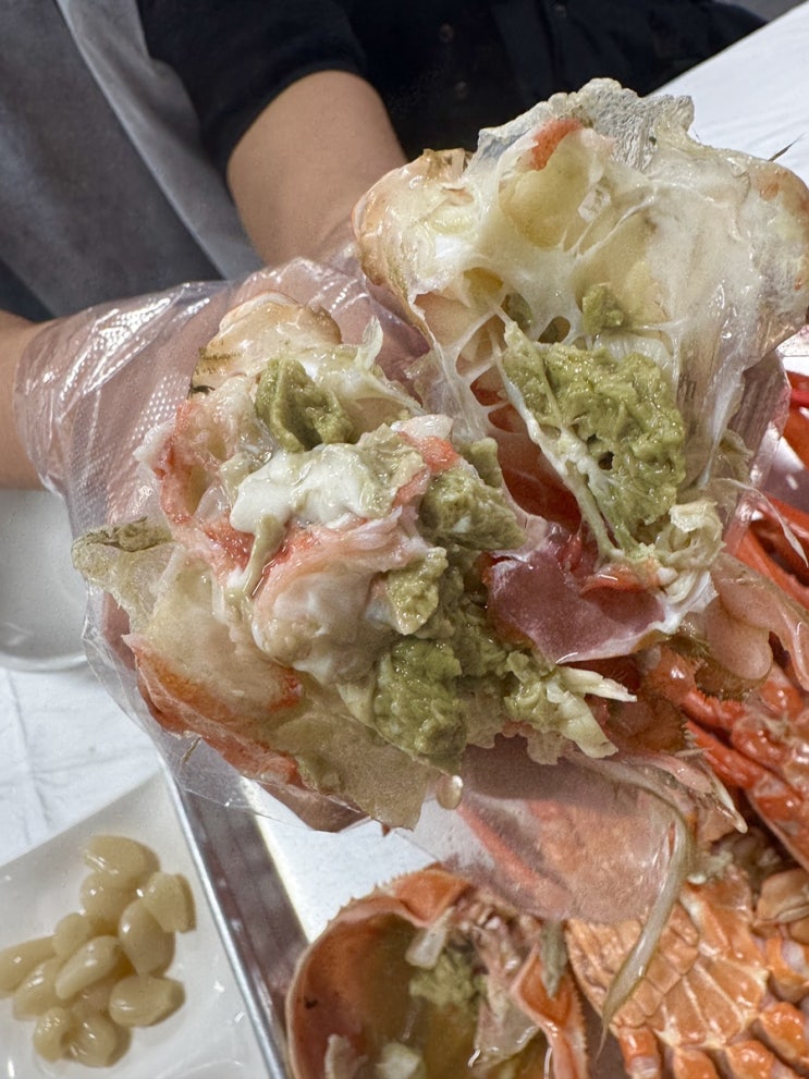  강릉 홍게 무한리필 미스터홍게 교동 맛집