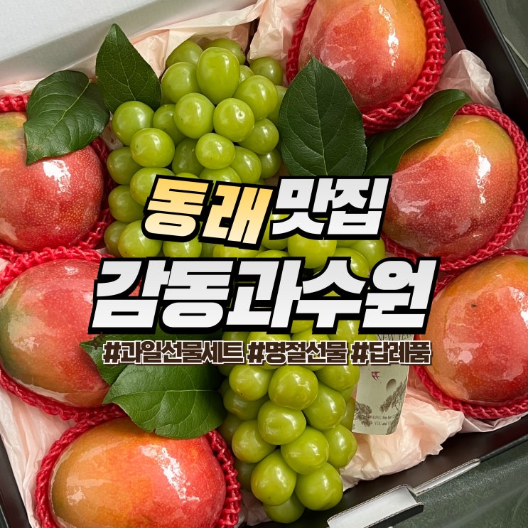  동래 감동과수원 :: 설 선물세트로 추천하는 부산 과일바구니