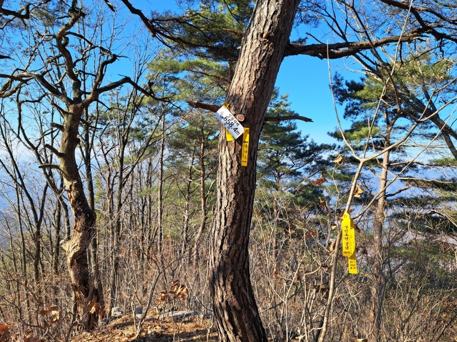 표대산 사진 3