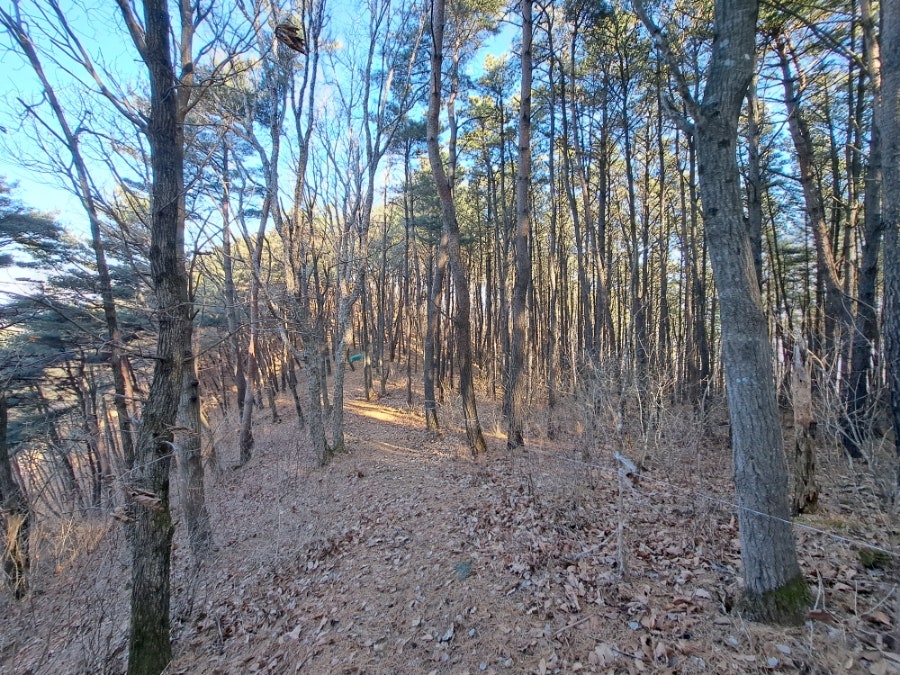 표대산 사진 5