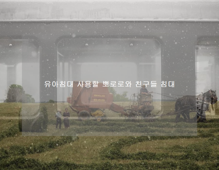  유아침대 사용할 뽀로로와 친구들 침대